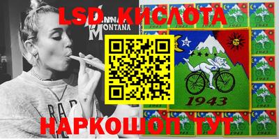шишки Камышлов