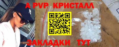шишки Камышлов